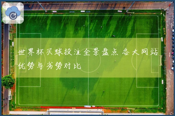 世界杯买球投注全景盘点 各大网站优势与劣势对比