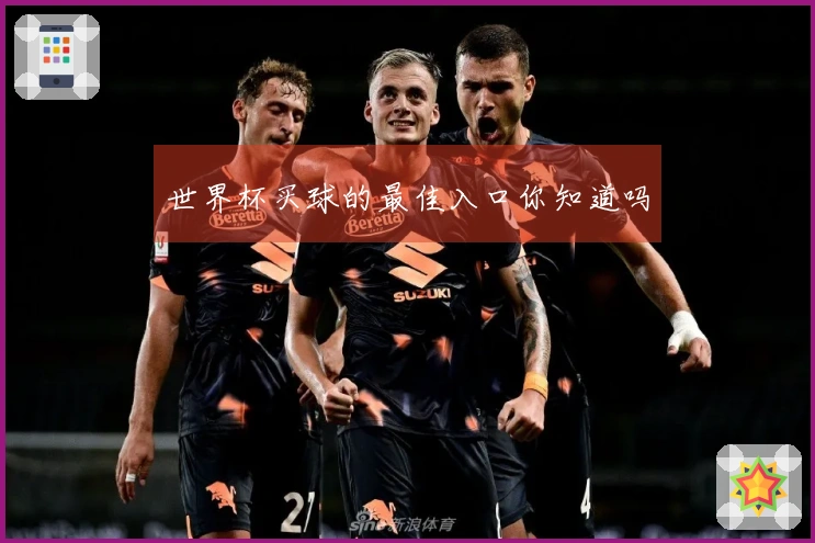 世界杯买球的最佳入口你知道吗