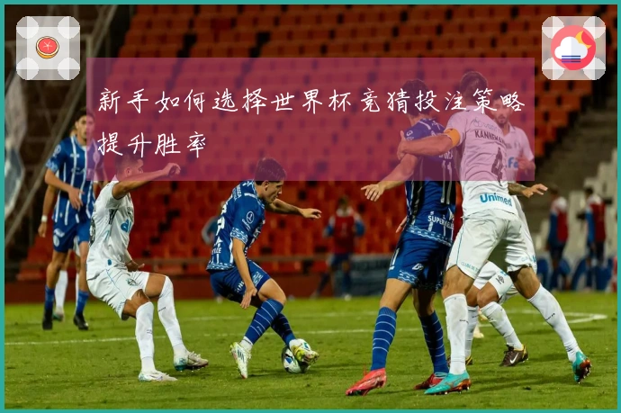 新手如何选择世界杯竞猜投注策略提升胜率