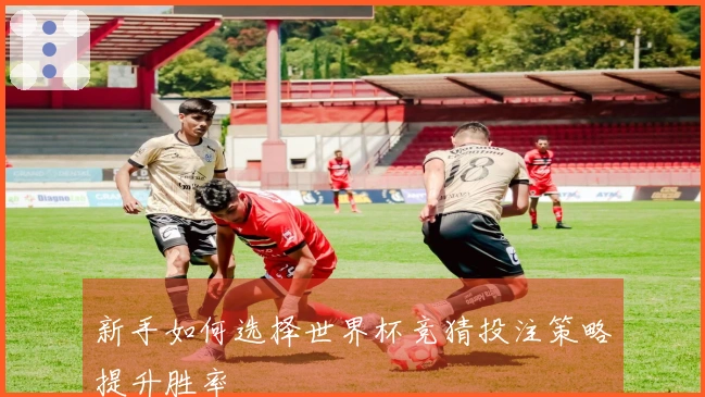 新手如何选择世界杯竞猜投注策略提升胜率