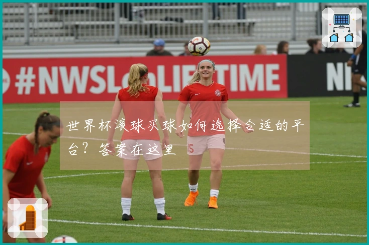 世界杯滚球买球如何选择合适的平台？答案在这里