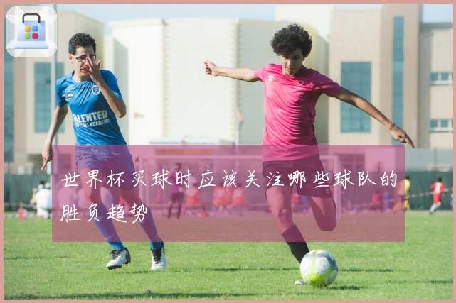 世界杯买球时应该关注哪些球队的胜负趋势