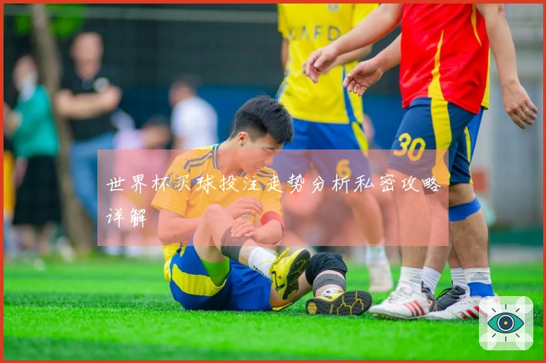 世界杯买球投注走势分析私密攻略详解