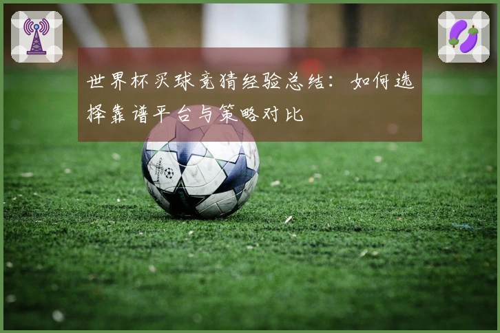 世界杯买球竞猜经验总结：如何选择靠谱平台与策略对比