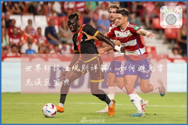 世界杯投注规则详解，如何避免常见误区宝典