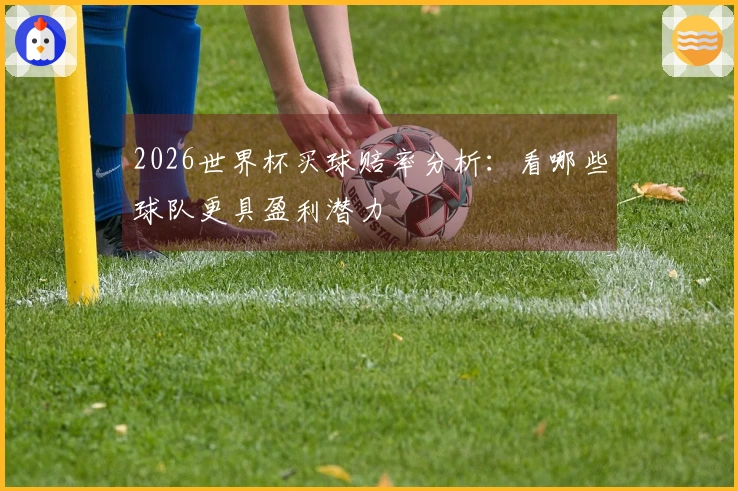2026世界杯买球赔率分析：看哪些球队更具盈利潜力