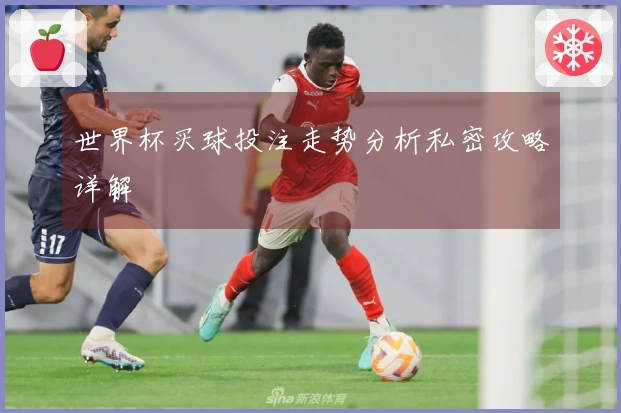 世界杯买球投注走势分析私密攻略详解