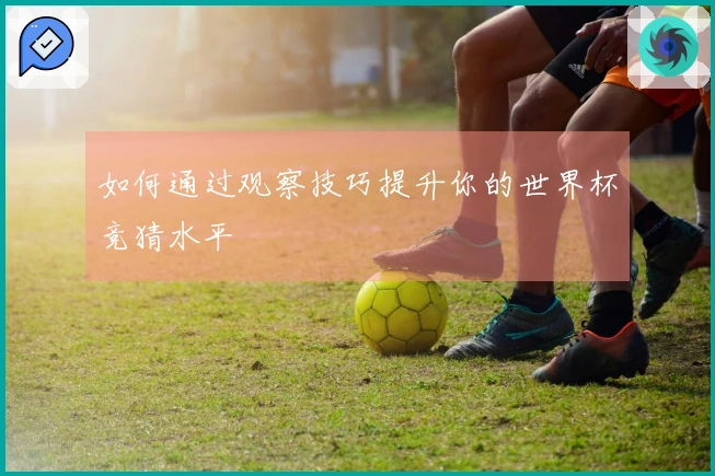 如何通过观察技巧提升你的世界杯竞猜水平